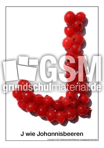 J-wie-Johannisbeeren.pdf